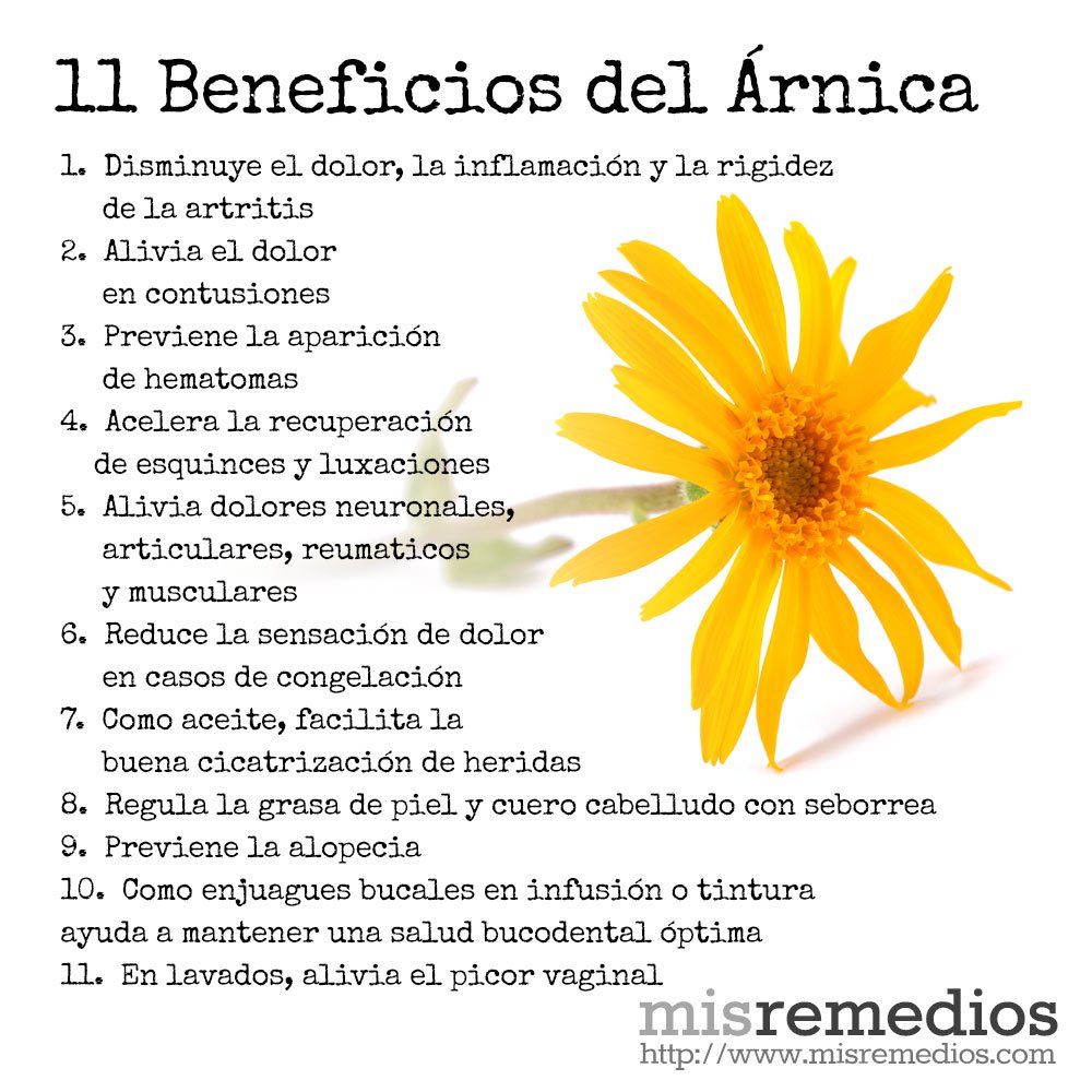 TE DE ARNICA